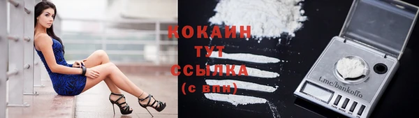 mdpv Остров