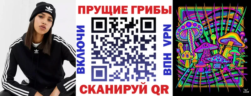 это какой сайт  Скопин  Псилоцибиновые грибы Psilocybine cubensis 