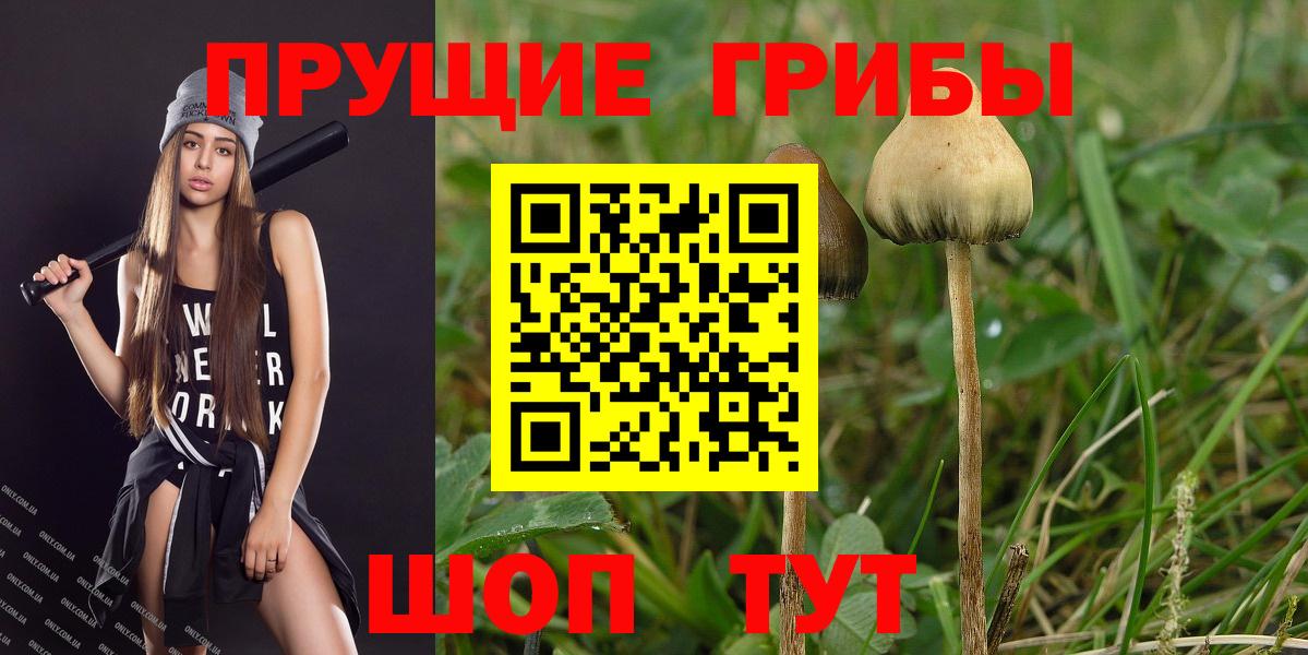 Псилоцибиновые грибы мухоморы Скопин