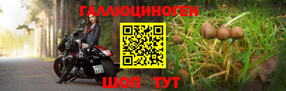 Галлюциногенные грибы ЛСД  Галлюциногенные грибы Magic Shrooms  Скопин  Вход с VPN 